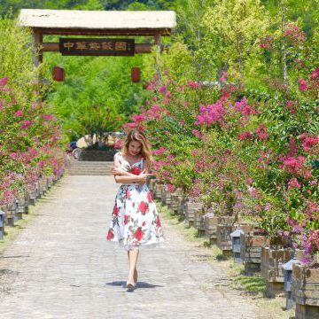 Съемка клипов «紫薇花开», «野蔷薇», «相见时难别亦难», «泠然赋» 